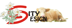 Webdesign Agentur Wien